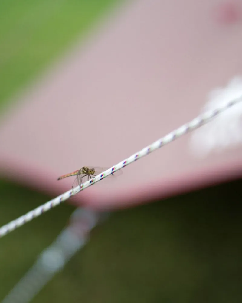 Snow Peak Polypropylene Rope Pro. 3Mm^ Poles & Accessories