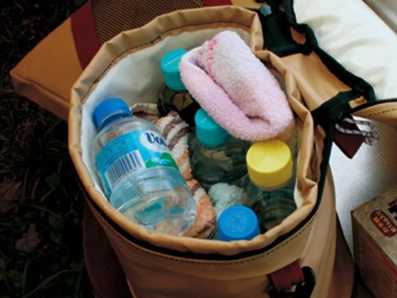 Snow Peak Soft Cooler 11^ Soft Coolers